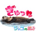 人気スタンプ特集::イッテQ！珍獣スタンプ ～カナダ編～